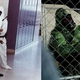 Illustration for article titled How The New Crazies Is Scarier Than Romeros Original
